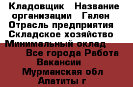 Кладовщик › Название организации ­ Гален › Отрасль предприятия ­ Складское хозяйство › Минимальный оклад ­ 20 000 - Все города Работа » Вакансии   . Мурманская обл.,Апатиты г.